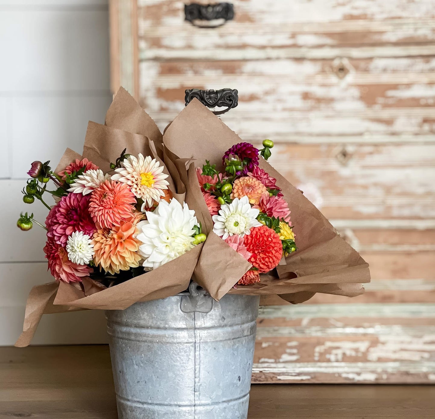 Four Weeks of Dahlias (September)